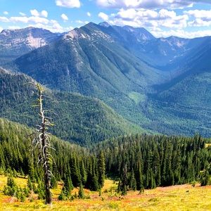 Meet your Posher, Red Cabin